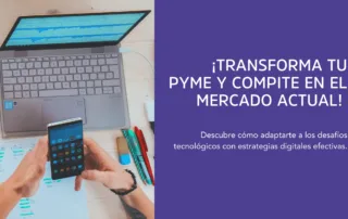 PyMES y adaptación de TI