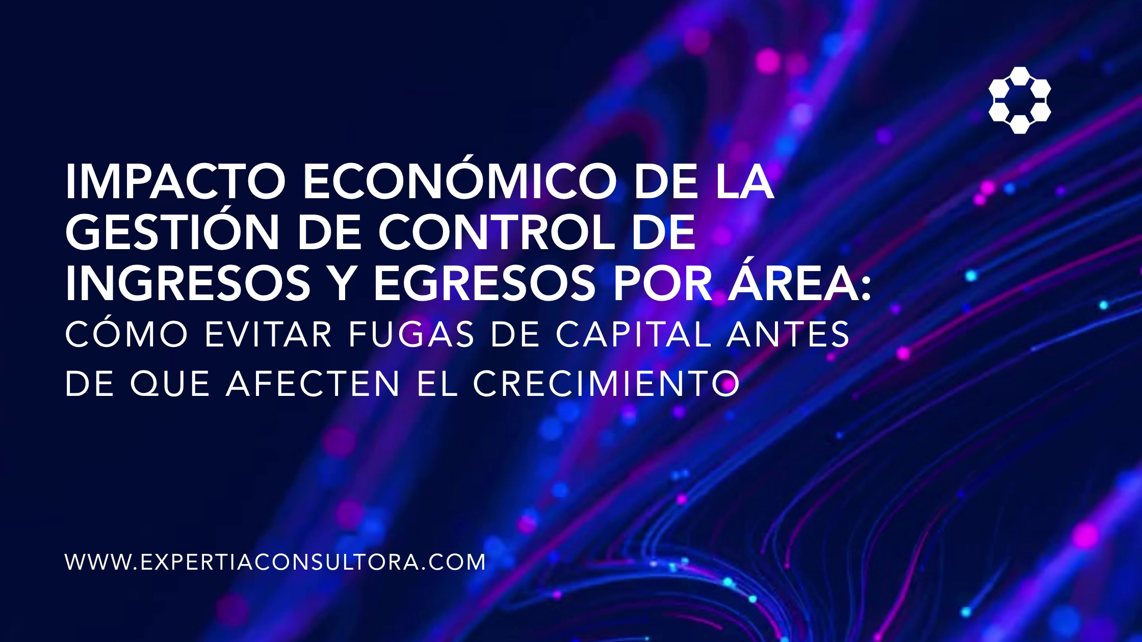 control de ingresos y egresos por área para evitar fugas de capital y mejorar rentabilidad